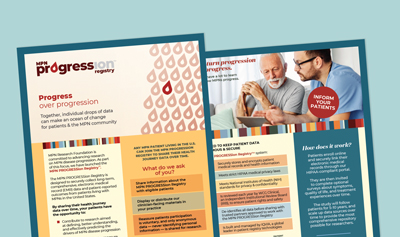 MPNPROGRESSionRegistry Provider1pager